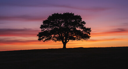 Wall Mural - lone tree standing strong on a hill, silhouetted against a breathtaking sunset with hues of orange, 
