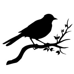 Wall Mural - bird on branch silhouette