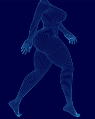 Poster - A female wireframe model displays the human body structure with clean geometric lines. The transparent framework highlights anatomical proportions and skeletal alignment.
