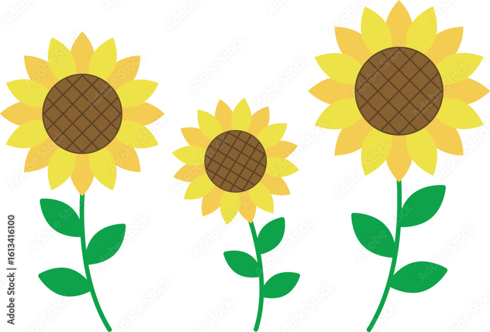 ひまわりのイラスト素材・三輪並ぶ・夏