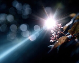 Poster - Dancing silhouettes revel in the magic night light of a star-filled concert, a laser-kissed crowd lost in music and disco club entertainment