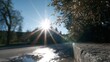 © Idea Library - A vibrant sunset illuminates a serene forest road, casting long shadows under a clear blue sky