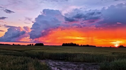Wall Mural - Colorful storm clouds over field during dramatic sunset in rural countryside