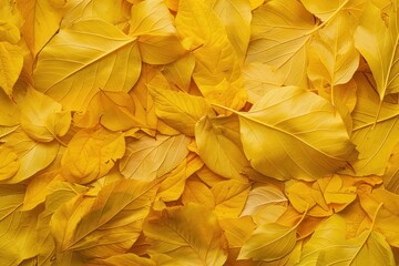Poster - Fallen yellow autumn leaves forming a textured background, capturing the essence of fall