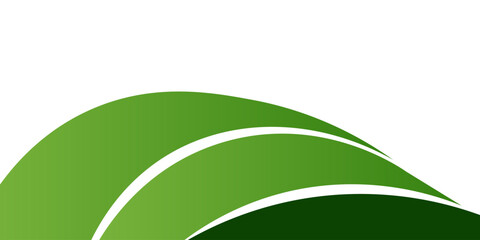 Poster - Abstract green curved banner background. vector illustration.