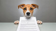© Lightgeo - Dog insurance policy document paw table paper pet animal humor cute brown white indoor looking front reflection funny protection contract agreement legal business office responsibility care safety