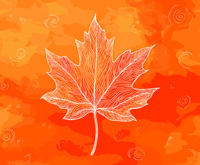 Poster - White outline of a maple leaf on an orange abstract background  