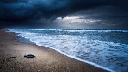 Wall Mural - turtle resting on the beach, facing the dark ocean and stormy clouds above it