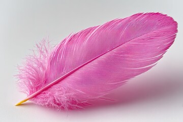 Poster - Pink feather lying on a smooth white surface showcasing its vibrant color and delicate texture