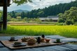 © Chayan - traditional picnic in Japanese countryside