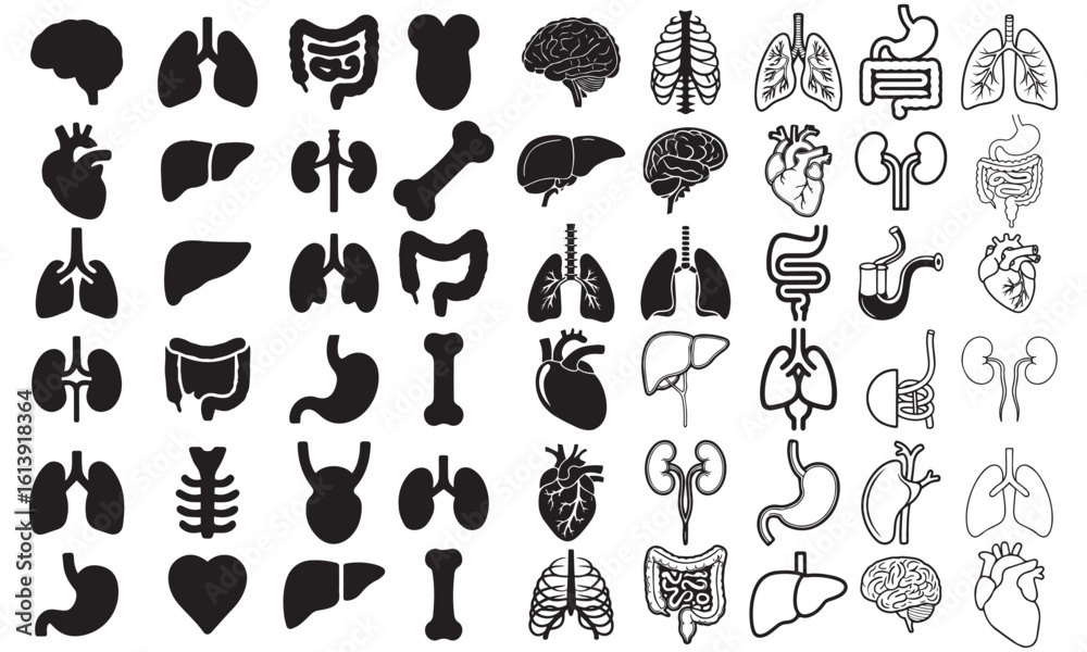 Human Internal Organs Icon Set – Black and White Medical Silhouettes ...