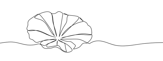 Wall Mural - Continuous vector art lines, lotus leaf, transparent background. editable stroke.