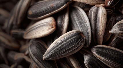 Poster - Detailed sunflower seed surface showing intricate shell patterns, revealing organic texture and natural geometric complexity against neutral background
