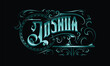 © Anton blez - JOSHUA lettering custom style design