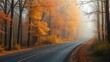 © Graphics - A misty autumn forest road lined with golden leaves, capturing the essence of seasonal change.