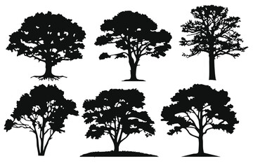 Poster - Diverse Collection of Detailed Tree Silhouettes collection