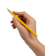 © devdesignnotes - Hand holding a yellow pencil ready to write or draw, isolated on transparent background