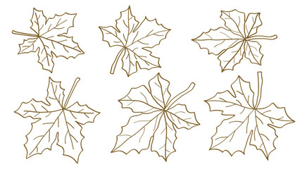 Wall Mural - Hand drawn brown maple leaves line art collection.Vector illustration