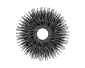 Poster - Circular Burst Shape, Radial Lines Pattern, Black and White Graphic Element, Abstract Form, Isolated Design, Vector Illustration
