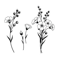 Aufkleber - Black and White Flax Flower Blossoms with Buds, Botanical Drawing Line Art Vector Illustration.