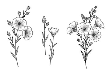 Aufkleber - Flax Flowers Set Line Art Illustration, Floral Botanical Element, Black and White Flower Drawing Vector Illustration
