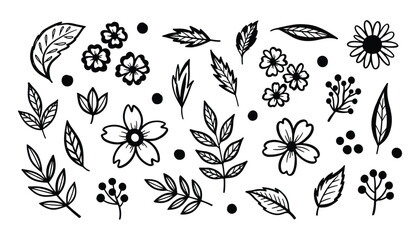 Poster - Hand Drawn Botanical Elements Set, Black Outline Flowers and Leaves, Isolated Floral Vector Illustration.