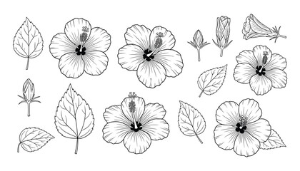 Aufkleber - Hibiscus Flowers and Leaves Outline Set, Tropical Floral Elements Black and White Vector Illustration