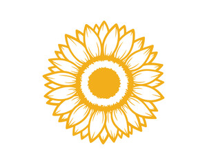 Poster - Outline Yellow Sunflower Blossom, Isolated Vector Illustration