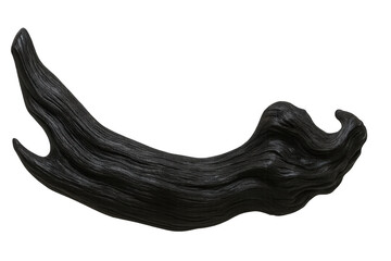 Poster - Driftwood with dark tones and intricate textures isolated on a transparent background, ideal for nature-themed designs