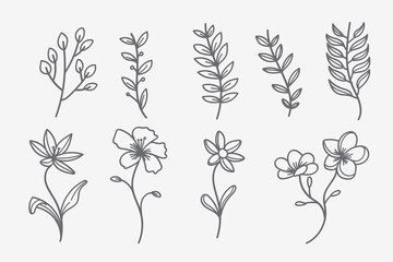 Wall Mural - vector set of doodle flower and leaf elements. autumn and spring collection. floral graphic design. 