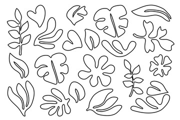 Wall Mural - Leaves line collection hand drawn.Vector illustration.