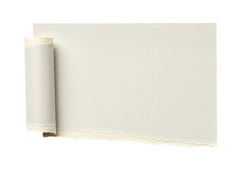 Poster - A light beige paper is torn with a rough edge and a rolled corner, isolated on a transparent background