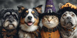 © john - Flat Candid Halloween Pet Costume Contest concept as A candid shot of pets dressed in Halloween costumes eagerly participating in a contest. The scene captures the humor and excitement ideal for ads p