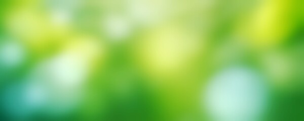 Green bokeh background. Smoothly Blurred Green Foliage Backdrop,