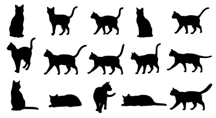 Poster - Cats silhouette Collection: An array of black cat silhouettes in various poses, presenting versatility in design, perfect for illustrative applications and design.