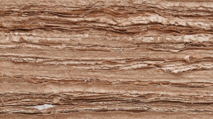 Poster - Close-up view of layered natural fiber material showcasing its unique textures and colors, ideal for art projects or sustainable design applications.