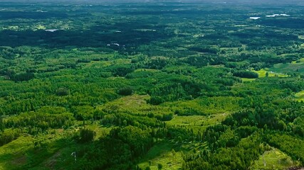 Wall Mural - Expansive green forests in motion as cloud shadows drift quickly overhead
