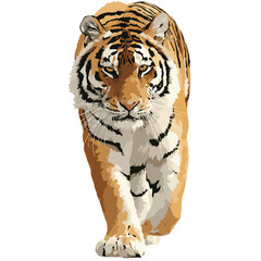 Wall Mural - tiger isolated in White Background, tiger vector, Flat lay vector illustration