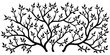© MUJAHID - Abstract black silhouette of intertwined branches with small leaves isolated on white background silhouette