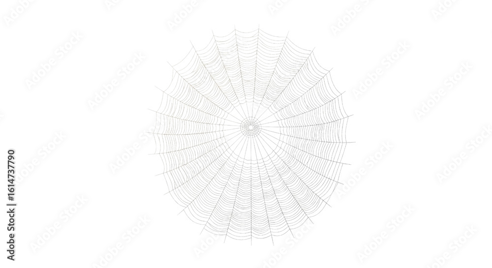 Intricate circular spiderweb with detailed silk strands and central hub ...