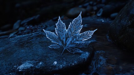 Poster - Frosted Leaf on Stone in Soft Focus with Calm Water Background