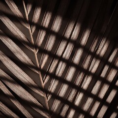 Poster - Detailed close-up of a palm leaf's structure with strong shadows.