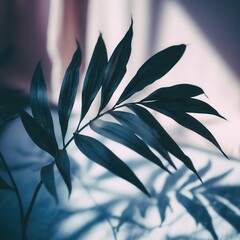 Poster - Close-up view of a dark green leaf.