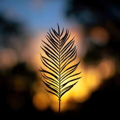 Poster - Silhouette of a delicate leaf against a vibrant sunset.