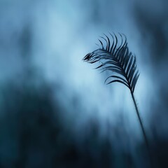 Poster - A solitary leaf against a muted blue backdrop.