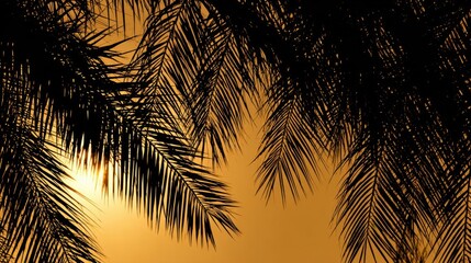 Wall Mural - silhouette of palm fronds against a golden sunset.