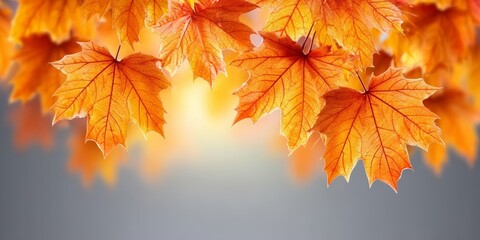 Poster - Vibrant Autumn Backdrop of Falling Maple Leaves Glowing in Sunlight, Capturing Nature s Beauty