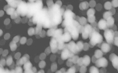Wall Mural - abstract shadow overlay dappled light on a transparent background.