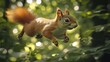 © milenialdesastudio - Squirrel in flight, lush forest backdrop