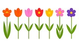 Colorful cartoon tulips and flowers